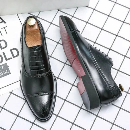Royal Brogue Oxfords – ZOCOIFY