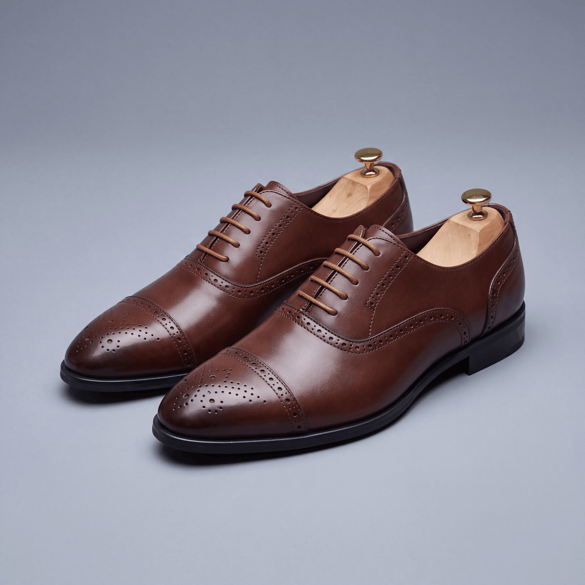 Royal Brogue Oxfords – ZOCOIFY